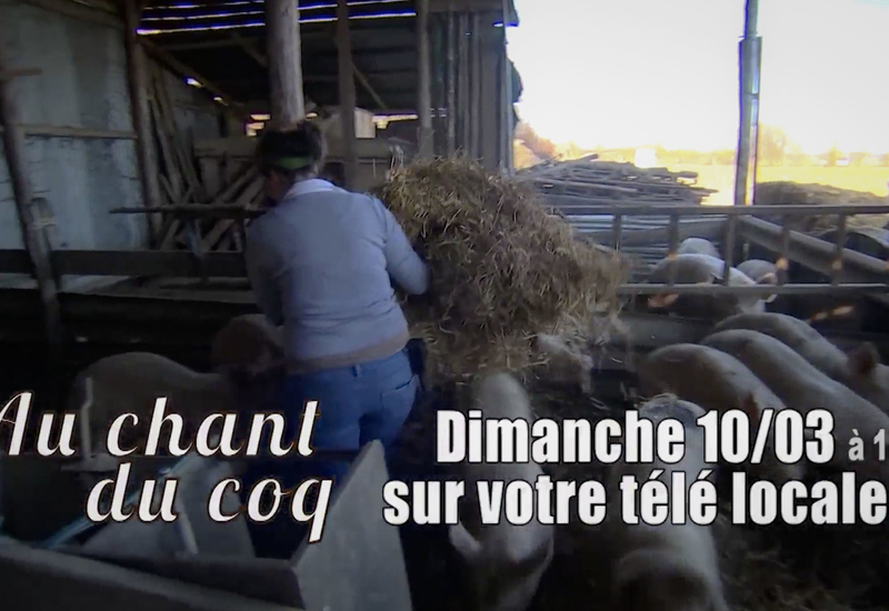 Les agricultrices à l'honneur dans Au Chant du Coq