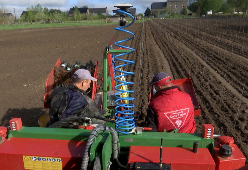 Riezes: le vignoble le plus haut du Hainaut 