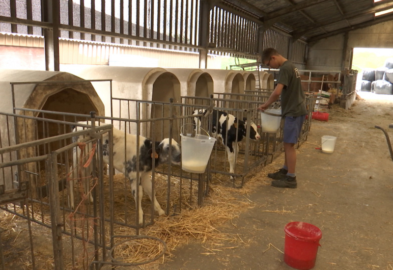 Une formation d'agent agricole à Chimay