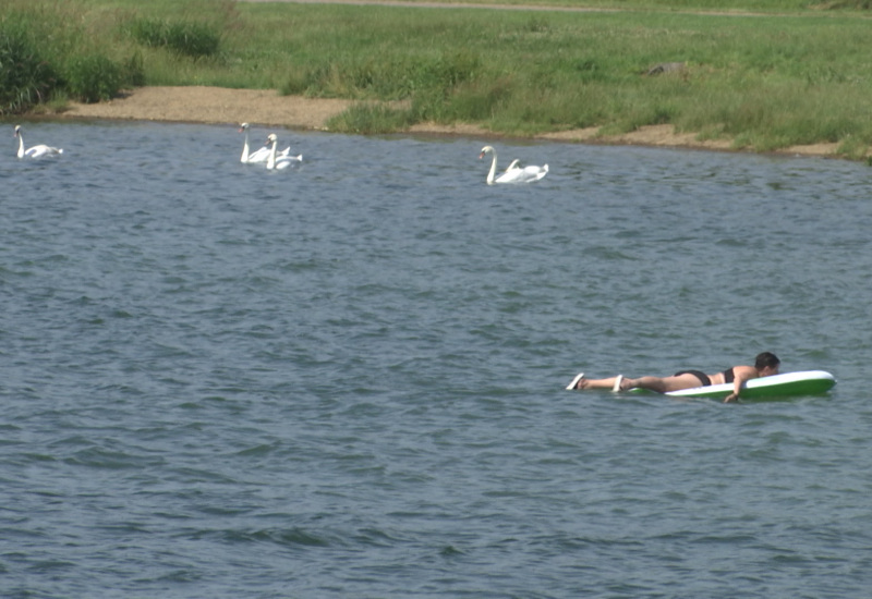 La saison estivale est lancée aux Lacs de l'Eau d'Heure !