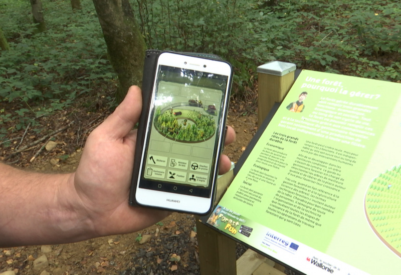 Forest Fun: une application interactive pour découvrir la forêt à Momignies