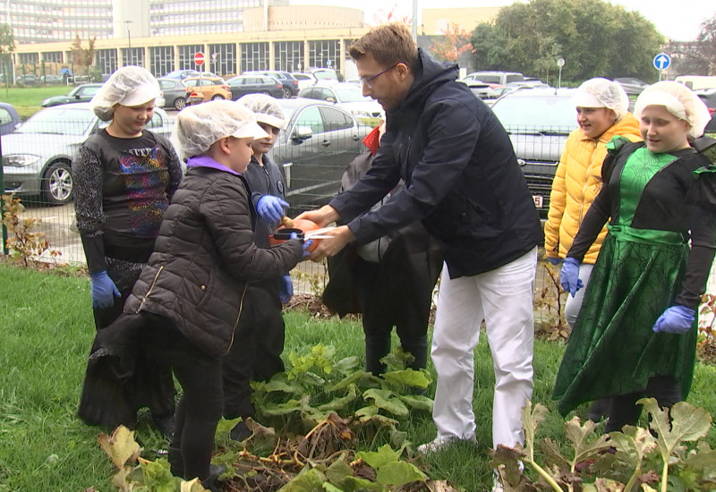 Semaine de l'info constructive: un potager contre le surpoids des jeunes