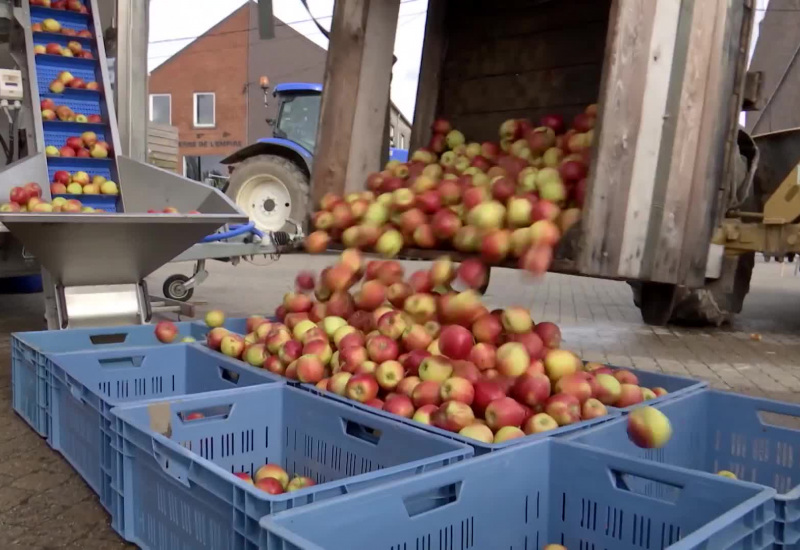 Des fruits à la pelle à Lausprelle