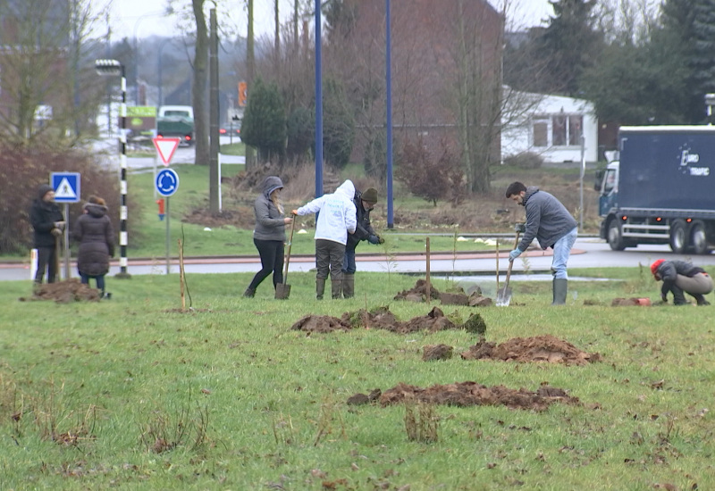 Lobbes: une forêt à manger