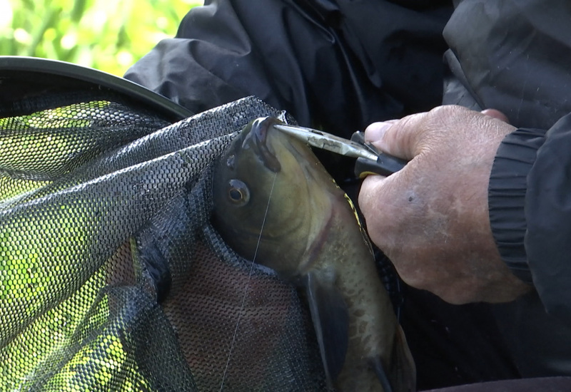 Rencontre avec des pêcheurs qui attendaient impatiemment de ferrer le poisson 