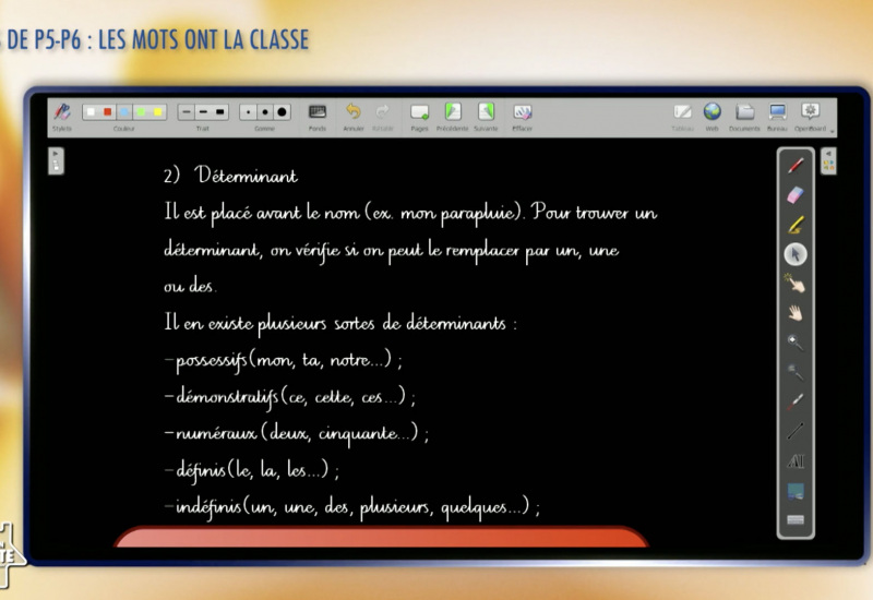 Une éducation presque parfaite presqu'à l'école : Les mots ont la classe (P5-P6)Retrouve ici toutes nos leçons