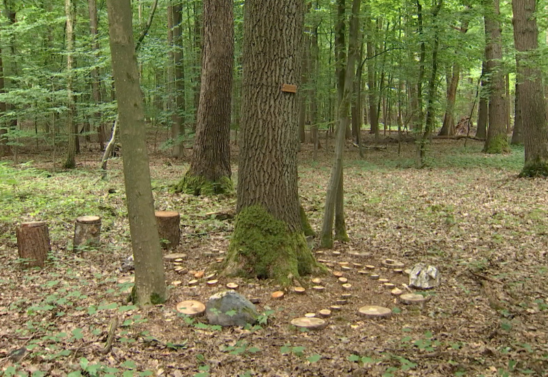 Une forêt funéraire au coeur de Fleurus ! 