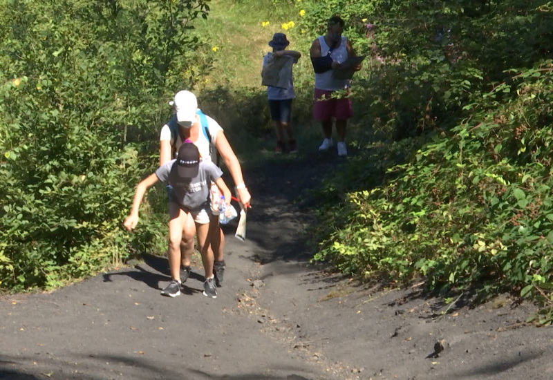 Un parcours d'orientation au Bois du Cazier 