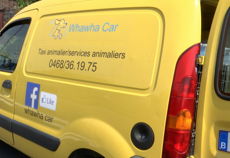 Whawha Car, un taxi animalier proposant différents services ! 