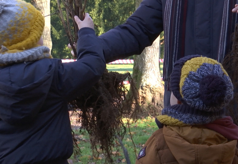 La journée de l'arbre à Ham-sur-Heure a porté ses fruits !