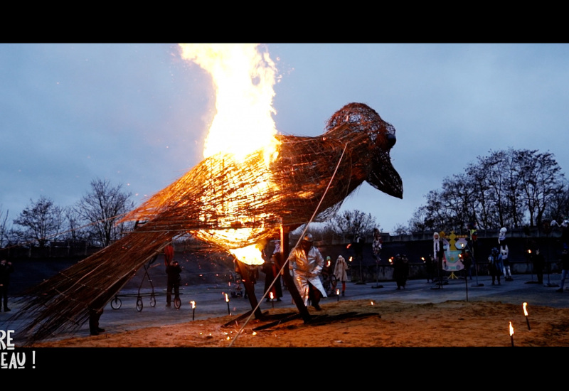 Emission spéciale : Sacré Corbeau!