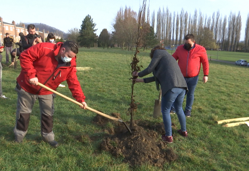 Marcinelle : des arbres plantés à la Cité Parc pour améliorer le cadre de vie