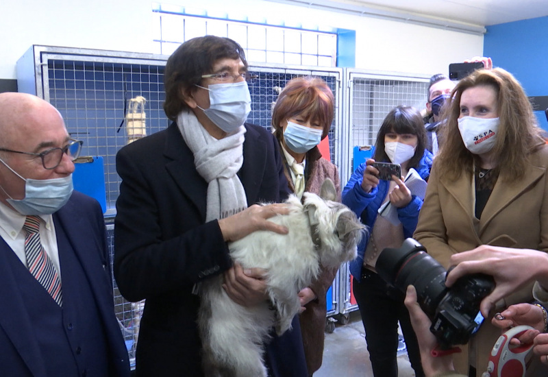 Charleroi : visite d'Elio Di Rupo à la SPA pour faire le point en période de pandémie