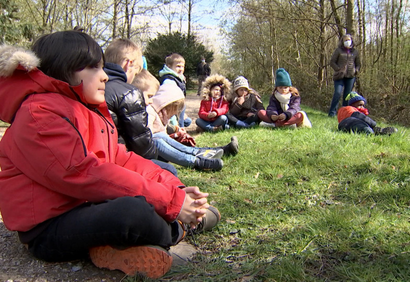 La nature du Bois du Cazier contée à une dizaine d'enfants 