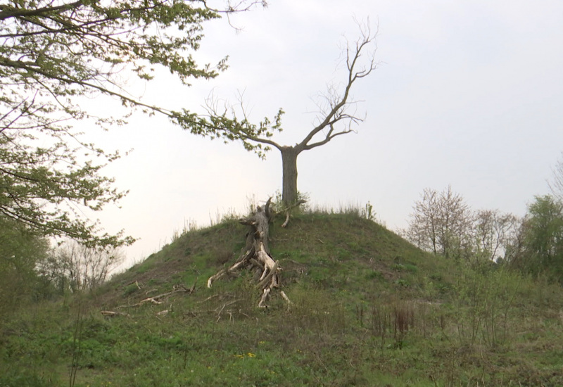 Le tumulus de Marcinelle, un témoignage important du passé à l’abandon