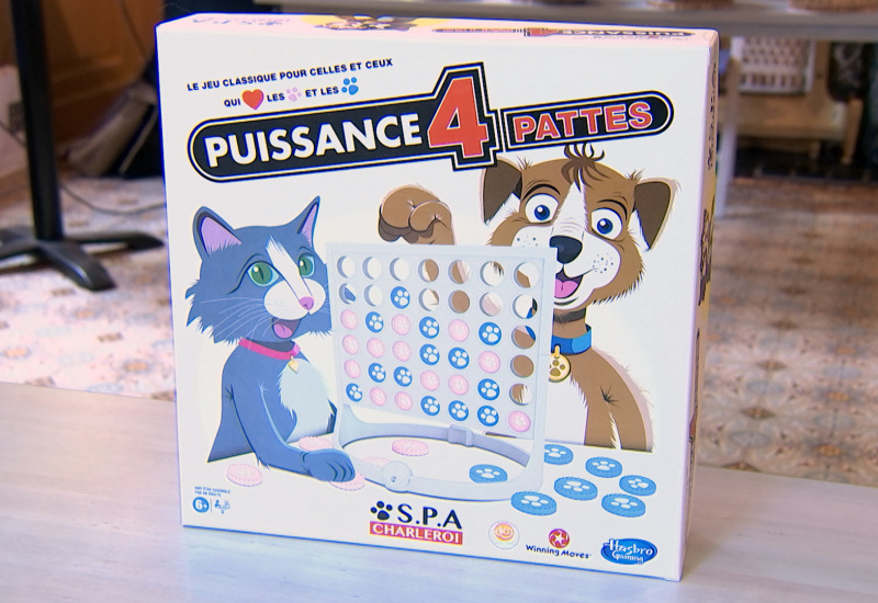 "Puissance 4 pattes", le nouveau jeu aux couleurs de la S.P.A