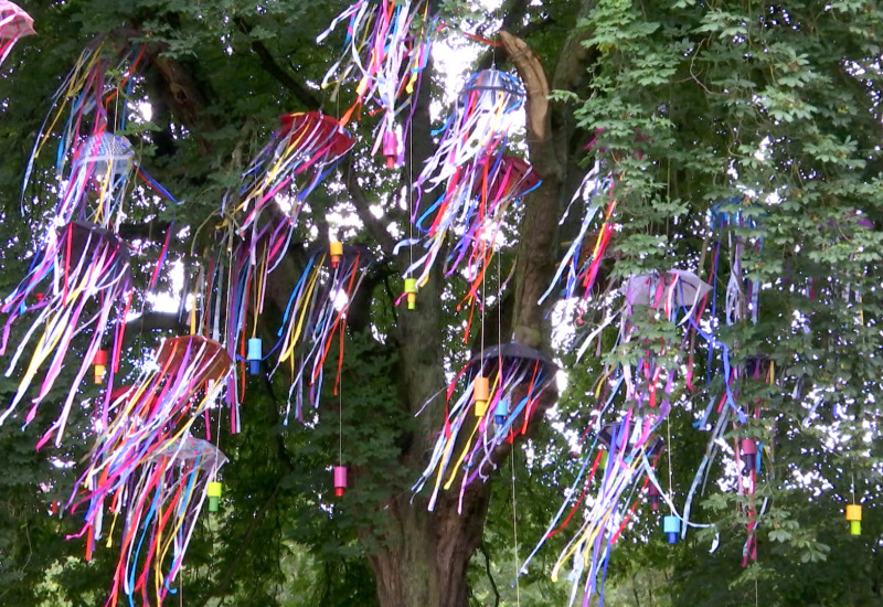 Gosselies: Des parapluies au style "Land Art" dans un parc