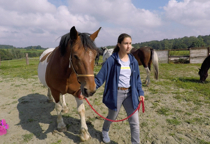 Pense-Bêtes : Ecrin de soi, thérapie avec des chevaux