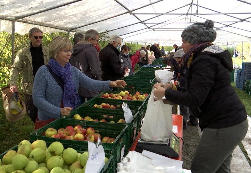 La foire aux pommes de Virelles a fait le plein d'acheteurs ce weekend