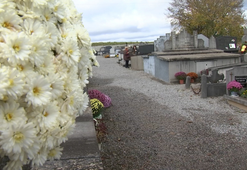 Toussaint : la tradition des fleurs et des souvenirs... 