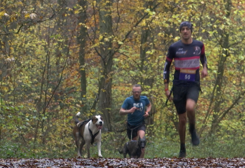 102 binômes pour l'épreuve chrono de la Nature Dog Run !