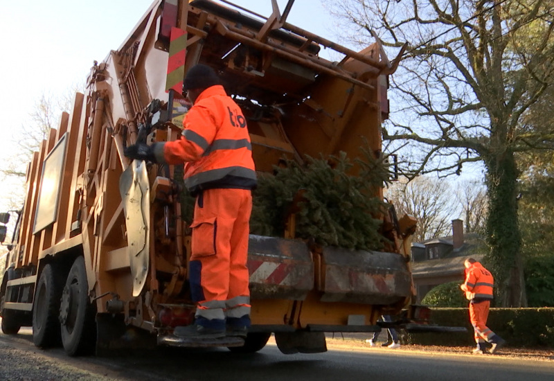 Tibi : la traditionnelle collecte des sapins de Noël a débuté ce samedi