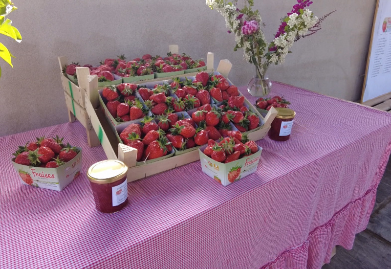 Lancement du ravier "Fraises de Wallonie"