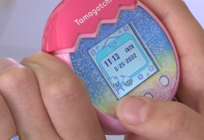 Mont-sur-Marchienne : Dans la peau d’une éleveuse de Tamagotchi