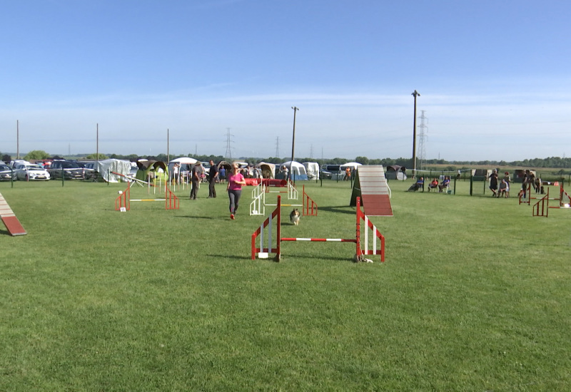 Wangenies: le concours d'agility au Centre canin avait du chien !