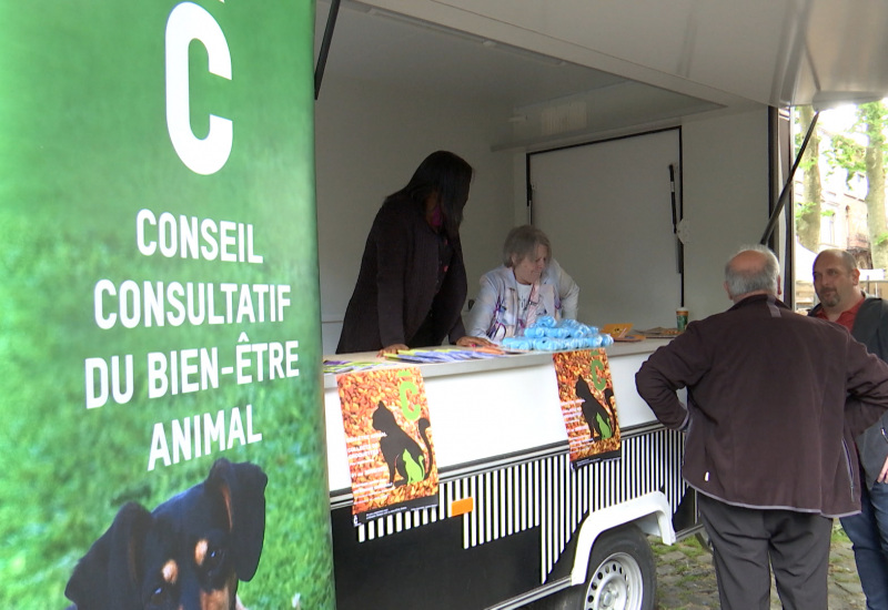 Bien-être animal à Charleroi: de nouvelles mesures vont entrer en vigueur ! 