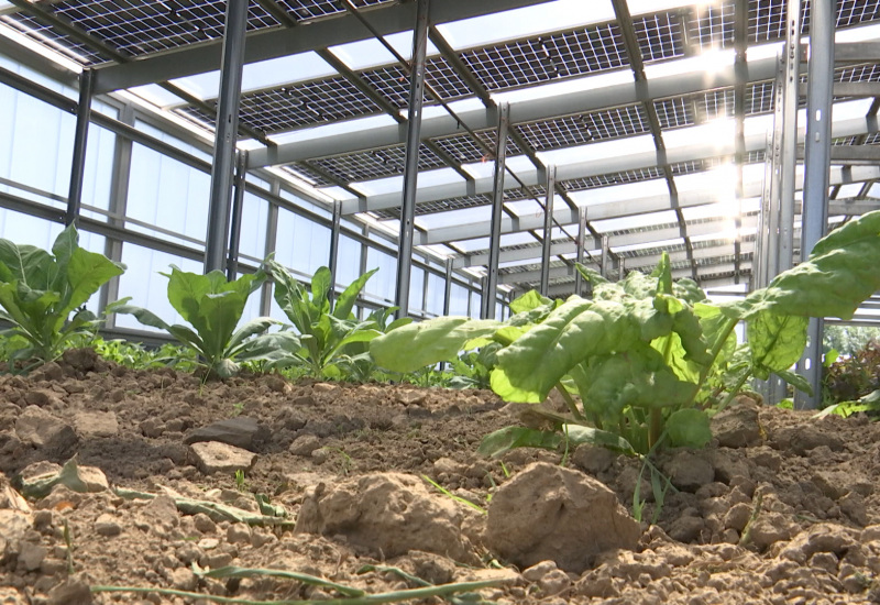 "Les Jardins de Poteaupré": de l'électricité verte et des légumes en circuit court