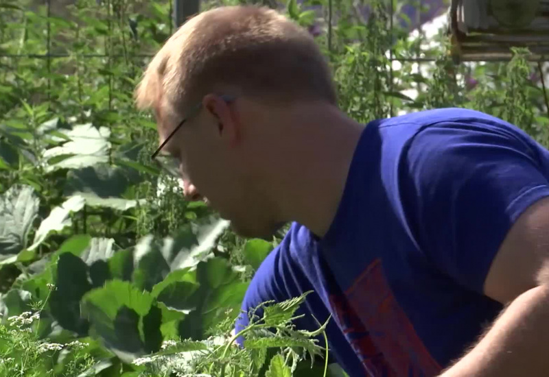 Sanisol: l'outil personnalisé pour devenir un bon jardinier 