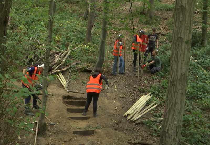 Charleroi Nature: des étudiants jobistes embellissent le bois du Prince à Marcinelle