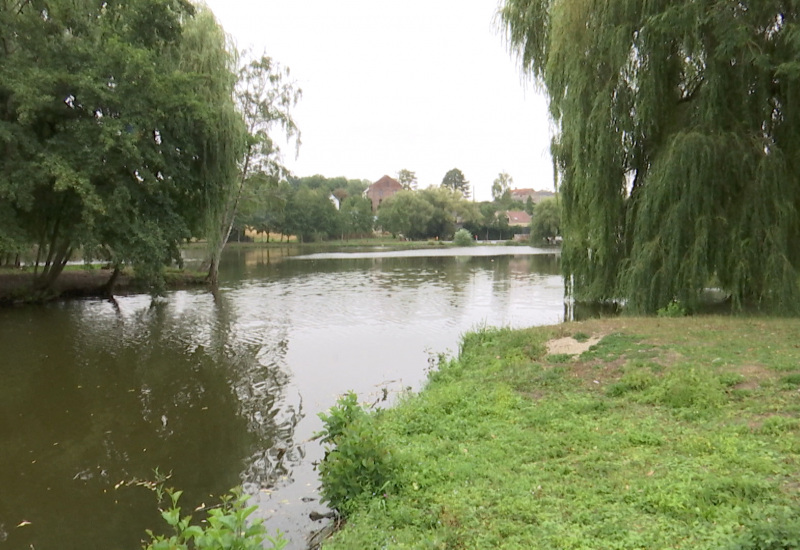 Des centaines de poissons retrouvés morts dans le lac de Barbençon 