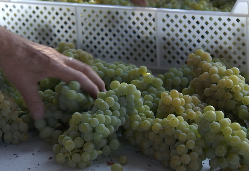 Monceau-Sur-Sambre : De l'Or Blanc au Martinet 