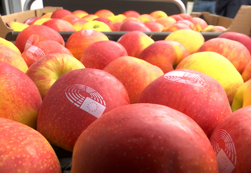 Charleroi : distribution de pommes bio à l'Athénée Jules Destrée