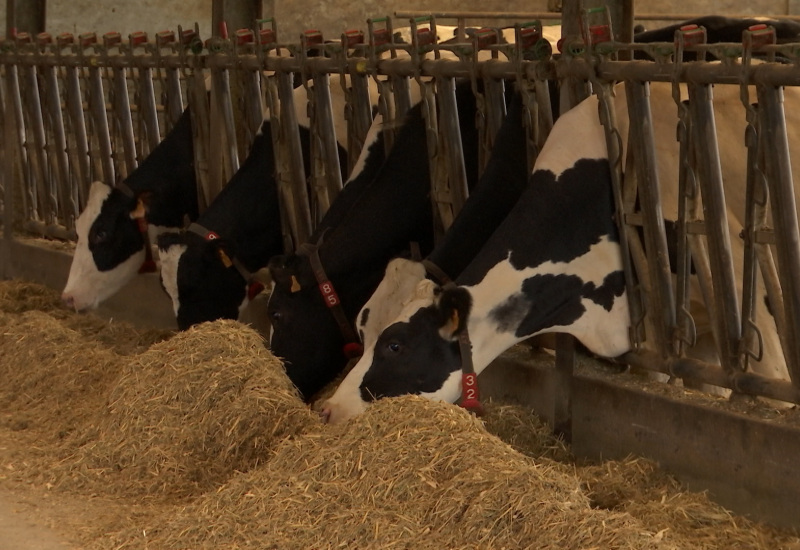 Gozée : la micro-méthanisation pour valoriser le circuit court chez les agriculteurs