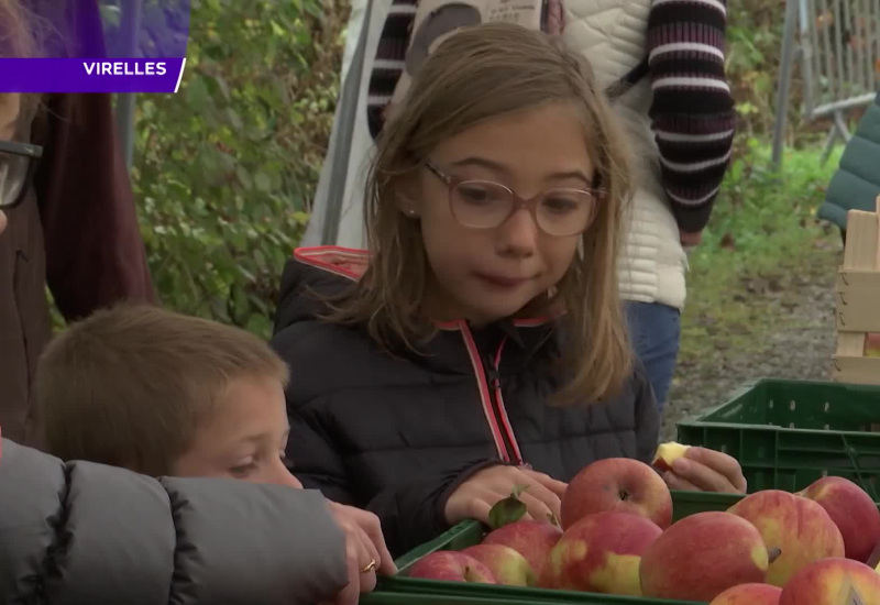 Grand succès pour la Foire aux Pommes de Virelles