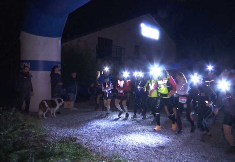 Des chiens et des liens au Trail du Prince