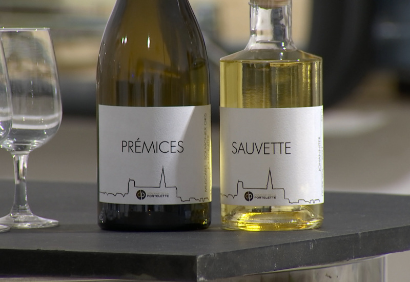 Prémices et Sauvette: voici les premiers vins made in Lobbes 