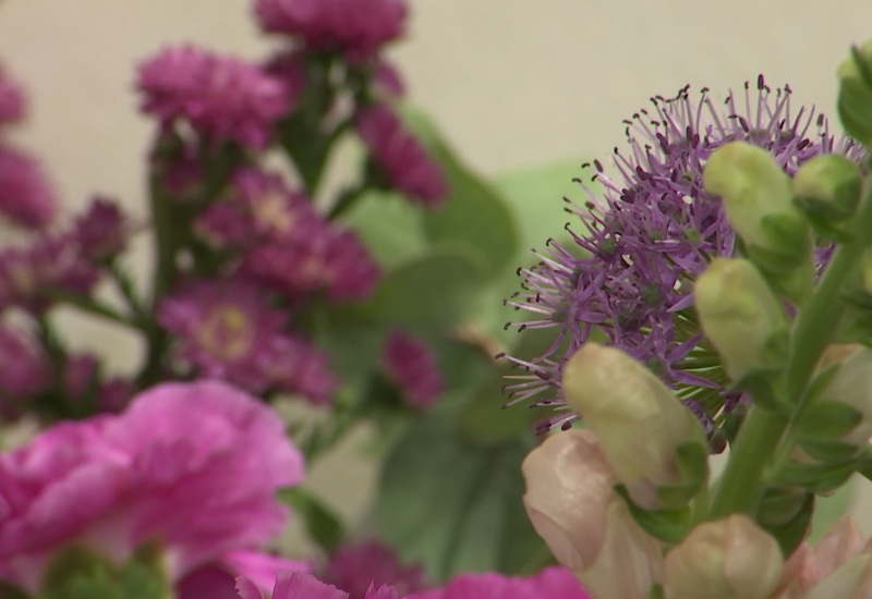 Idée cadeau de fin d'année: des fleurs éco-responsables à Charleroi