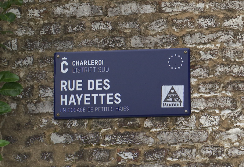 De la rue des Hayettes à la rue du Grand Escalier, il ne fallait pas louper la marche !