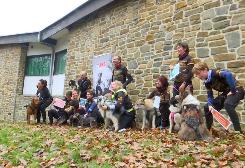 Le 1er Nature Dog Trail : Une légende et plus de 200 participants ! 