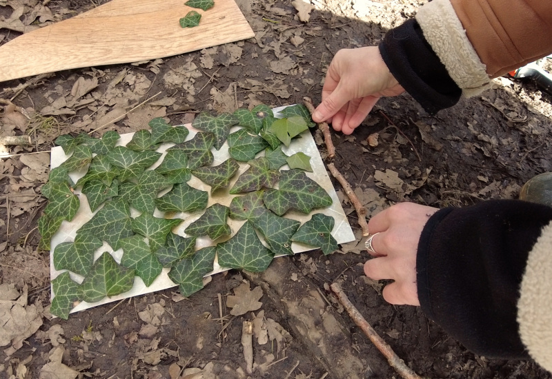 Virelles: formation de l'école du dehors à l'Aquascope 