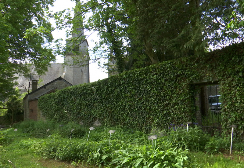 Gerpinnes : quand la nature reprend ses droits 