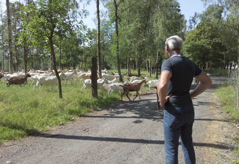 Un fromage carolo médaillé d'or en France ! 