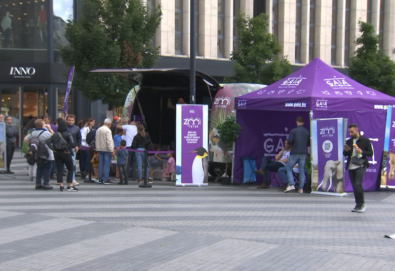 Un zoo alternatif dans le centre de Charleroi 