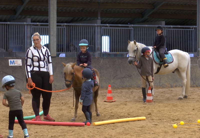 Presles: Un stage en parfaite harmonie avec les chevaux 