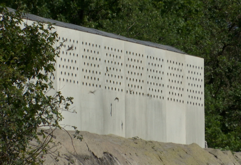 Lompret : inauguration d'un mur à hirondelles 