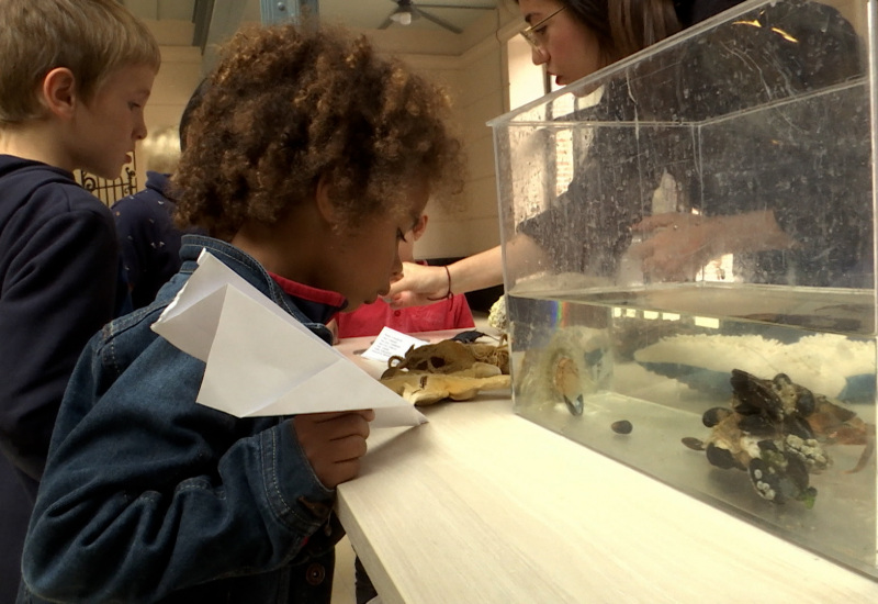 L’Université des Enfants de Charleroi a fait sa grande rentrée !